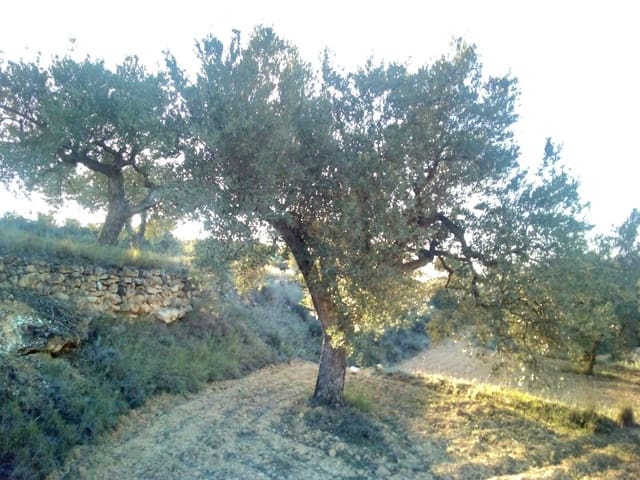 Finca/Casa Rural en Riba-roja d'Ebre en venta - 150.000 € (Ref: 10101221)