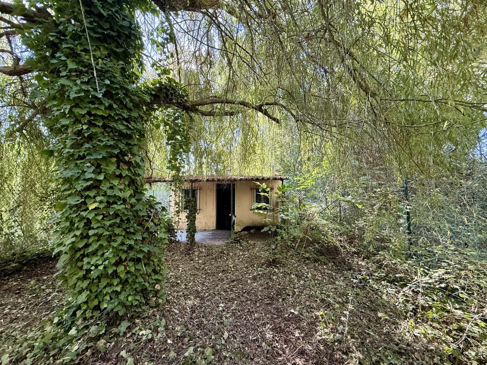 Teren niezagospodarowany na sprzedaż w Santovenia de la Valdoncina - 20 000 € (Ref: 10101224)