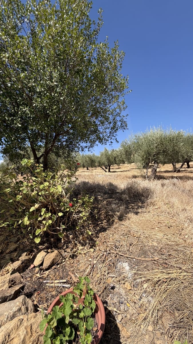 2 chambre Finca/Maison de Campagne à vendre à Riogordo - 170 000 € (Ref: 10101225)