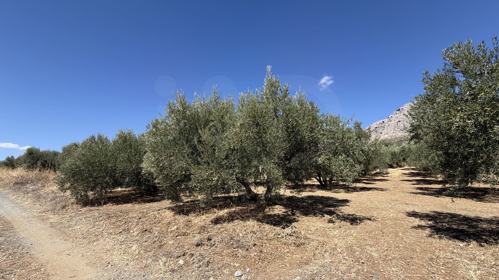 2 chambre Finca/Maison de Campagne à vendre à Riogordo - 170 000 € (Ref: 10101225)