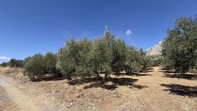 2 chambre Finca/Maison de Campagne à vendre à Riogordo - 170 000 € (Ref: 10101225)