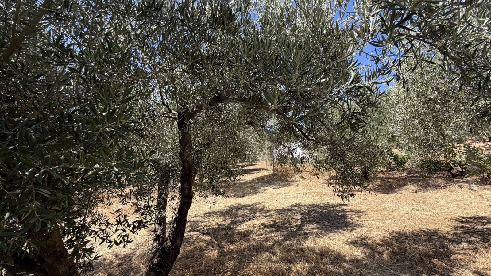 2 chambre Finca/Maison de Campagne à vendre à Riogordo - 170 000 € (Ref: 10101225)