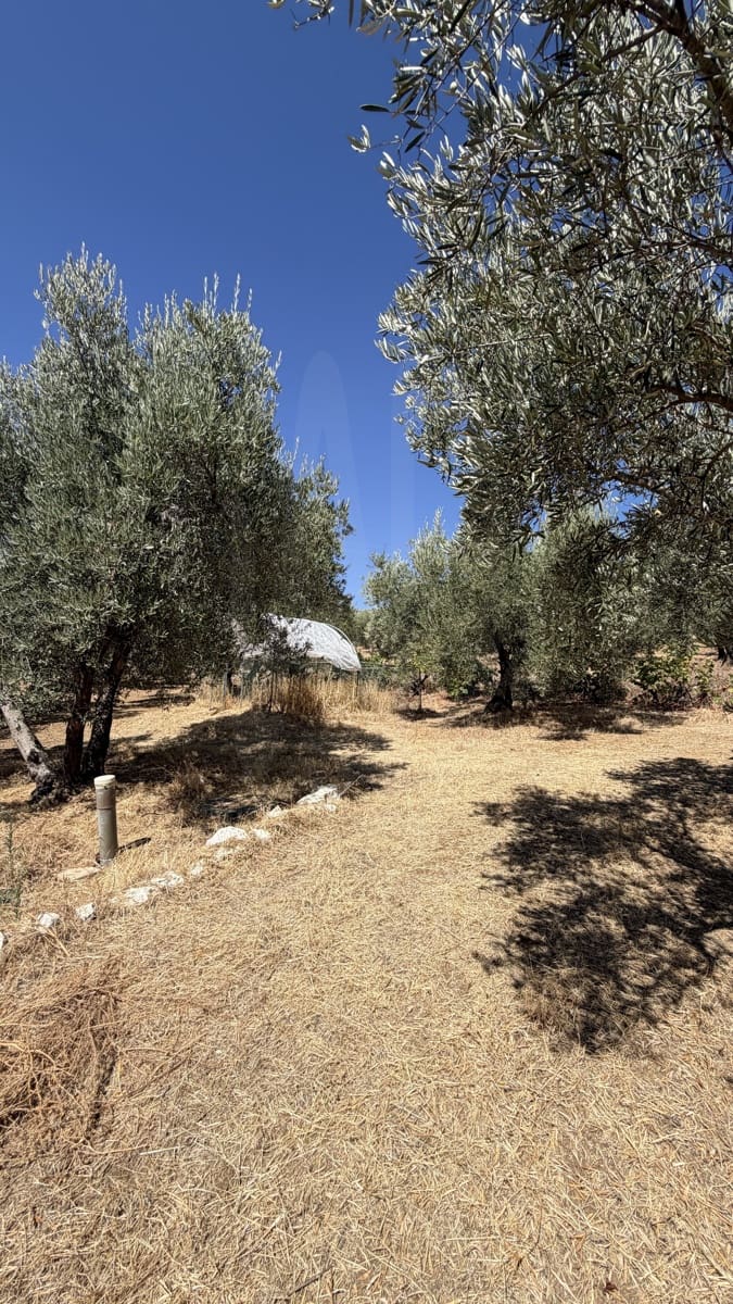 2 chambre Finca/Maison de Campagne à vendre à Riogordo - 170 000 € (Ref: 10101225)