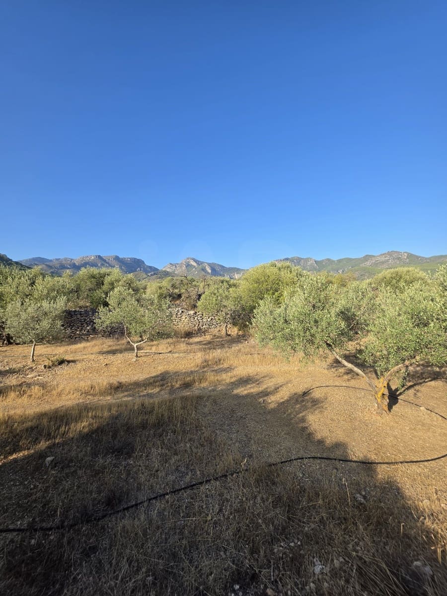 Terreno Não Urbanizado para venda em Rasquera - 110 000 € (Ref: 10106484)
