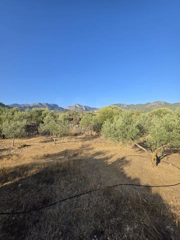 Terreno Não Urbanizado para venda em Rasquera - 110 000 € (Ref: 10106484)