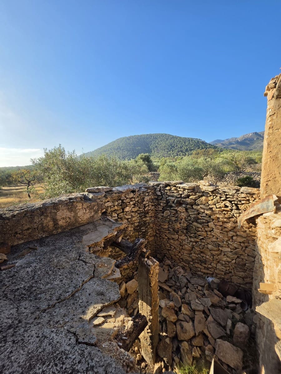 Terreno Não Urbanizado para venda em Rasquera - 110 000 € (Ref: 10106484)