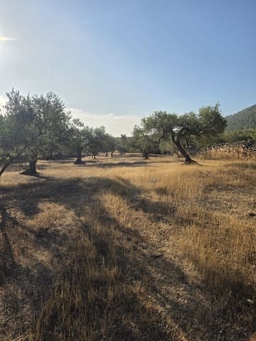 Terreno Não Urbanizado para venda em Rasquera - 110 000 € (Ref: 10106484)