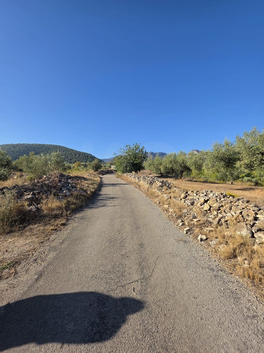Terreno Não Urbanizado para venda em Rasquera - 110 000 € (Ref: 10106484)