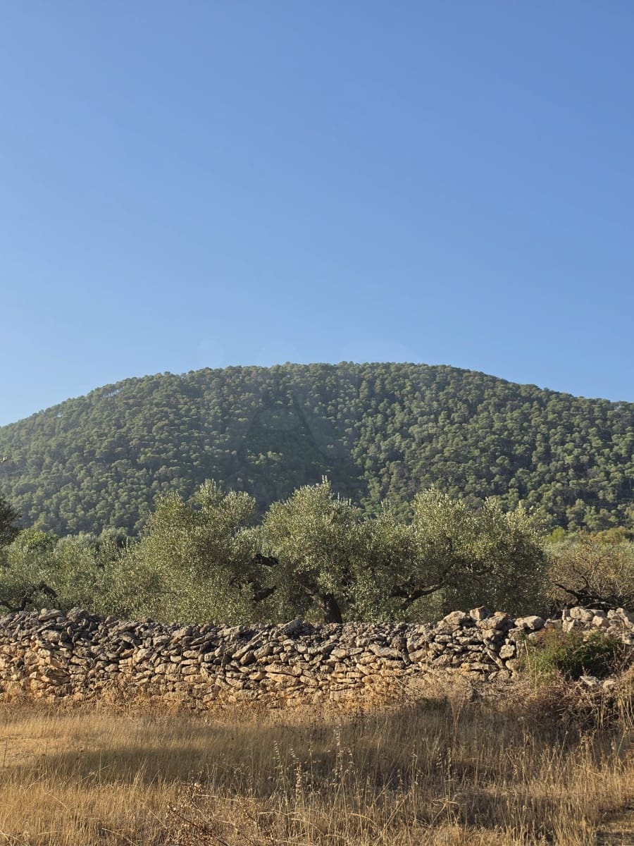 Terreno Não Urbanizado para venda em Rasquera - 110 000 € (Ref: 10106484)