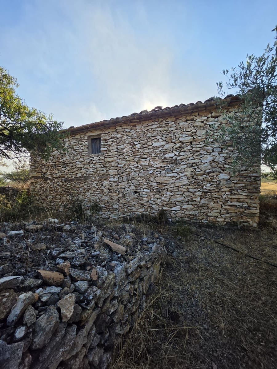 Terreno Não Urbanizado para venda em Rasquera - 110 000 € (Ref: 10106484)