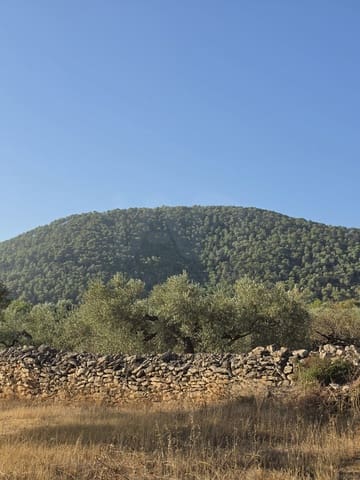Terreno Não Urbanizado para venda em Rasquera - 110 000 € (Ref: 10106484)