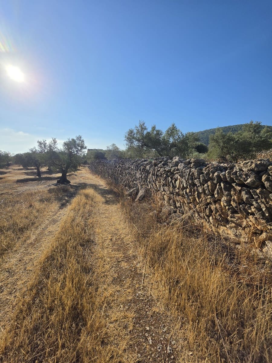Terreno Não Urbanizado para venda em Rasquera - 110 000 € (Ref: 10106484)