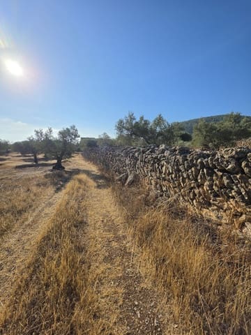 Terreno Não Urbanizado para venda em Rasquera - 110 000 € (Ref: 10106484)
