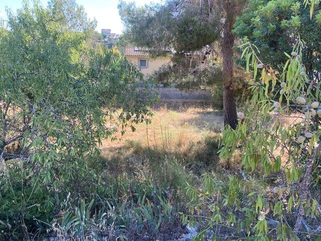 Building Plot for sale in Albinyana - € 60,000 (Ref: 10106495)