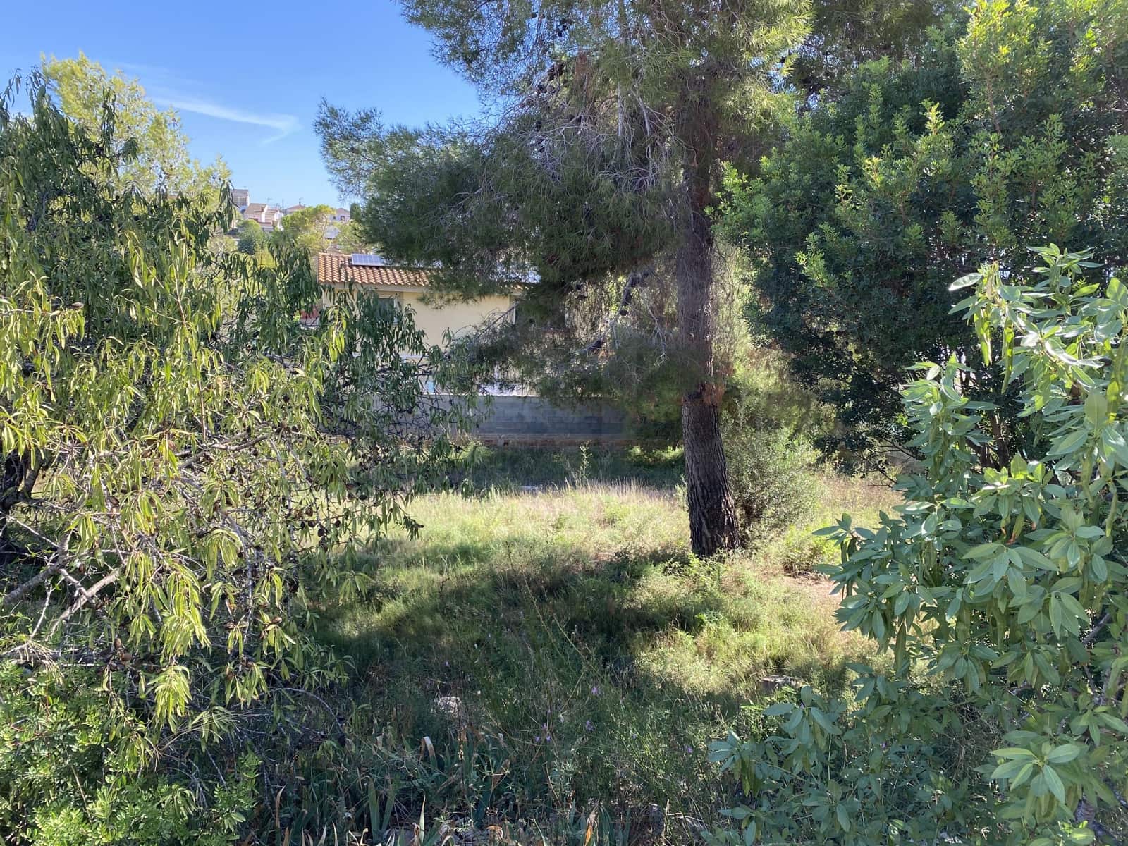 Building Plot for sale in Albinyana - € 60,000 (Ref: 10106495)