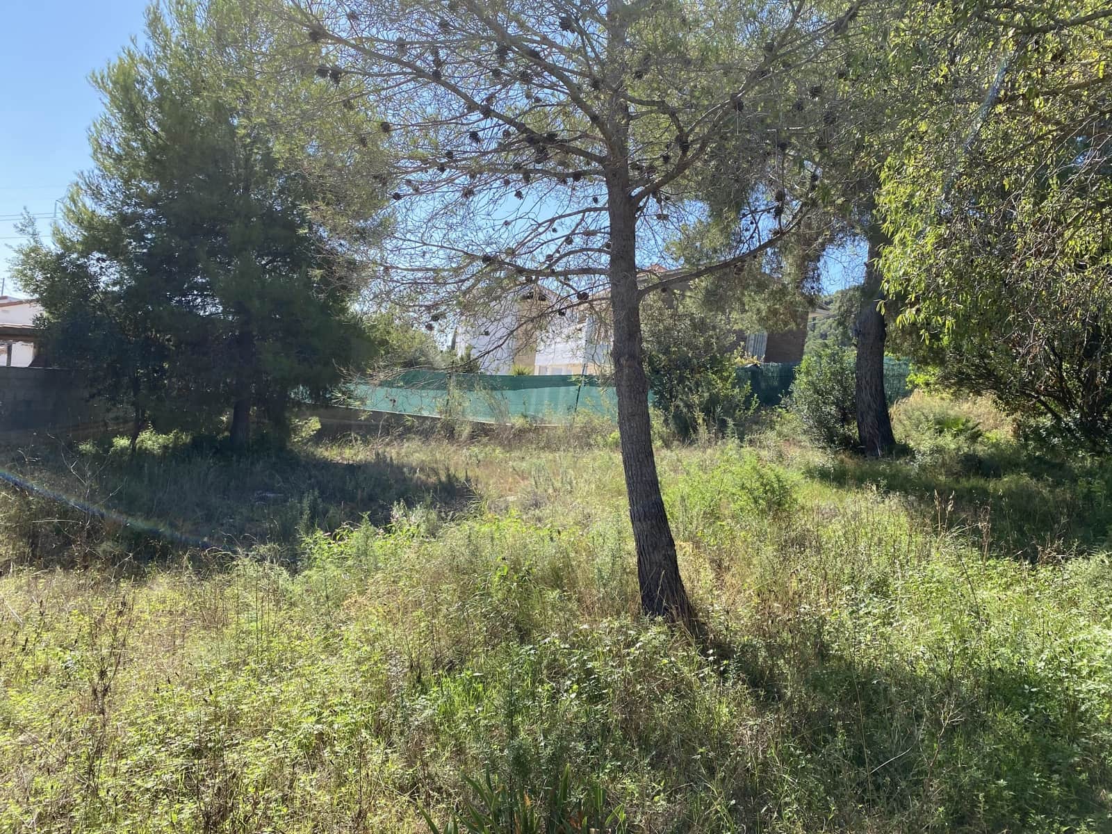 Building Plot for sale in Albinyana - € 60,000 (Ref: 10106495)