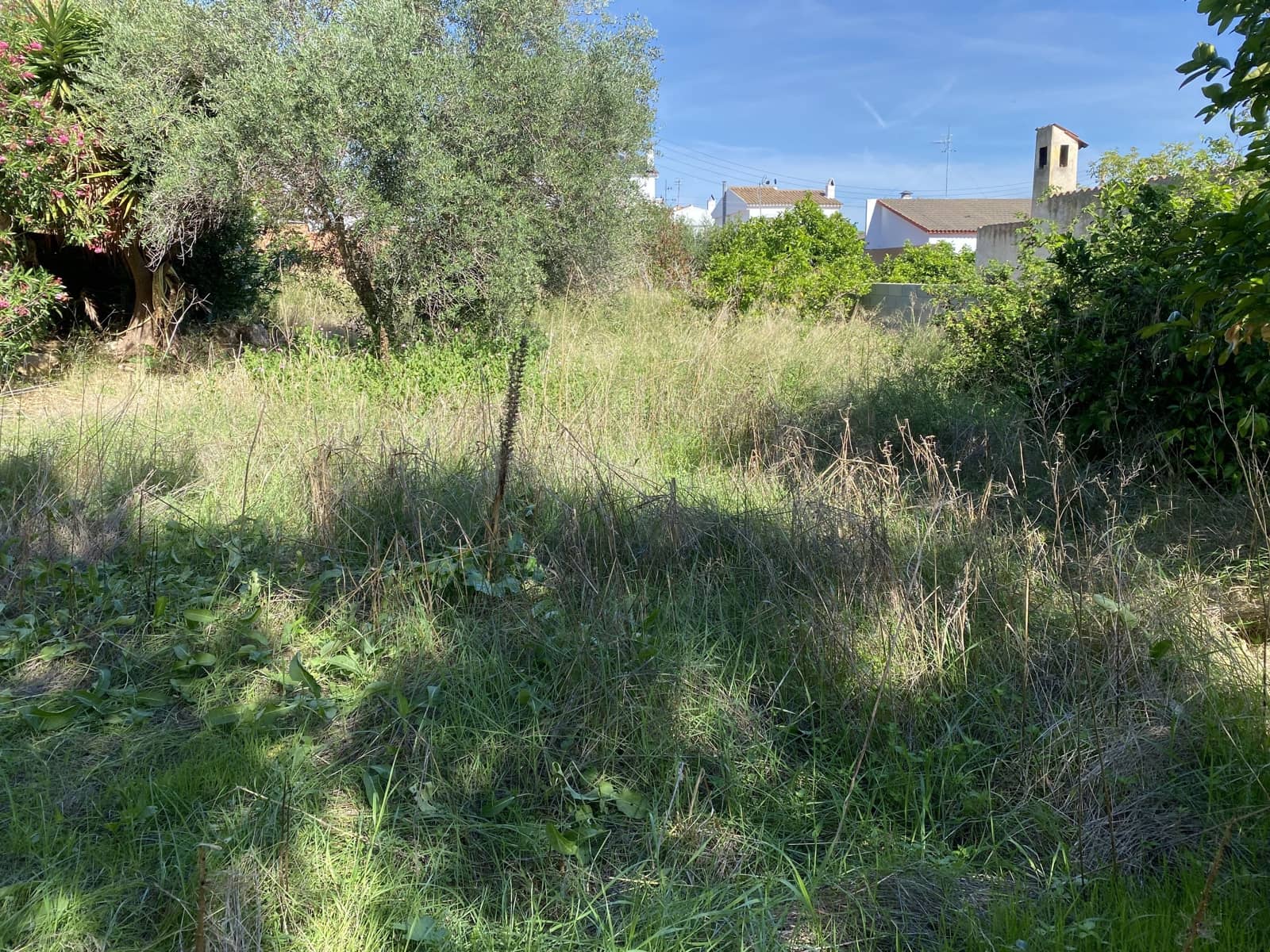 Building Plot for sale in Albinyana - € 60,000 (Ref: 10106495)