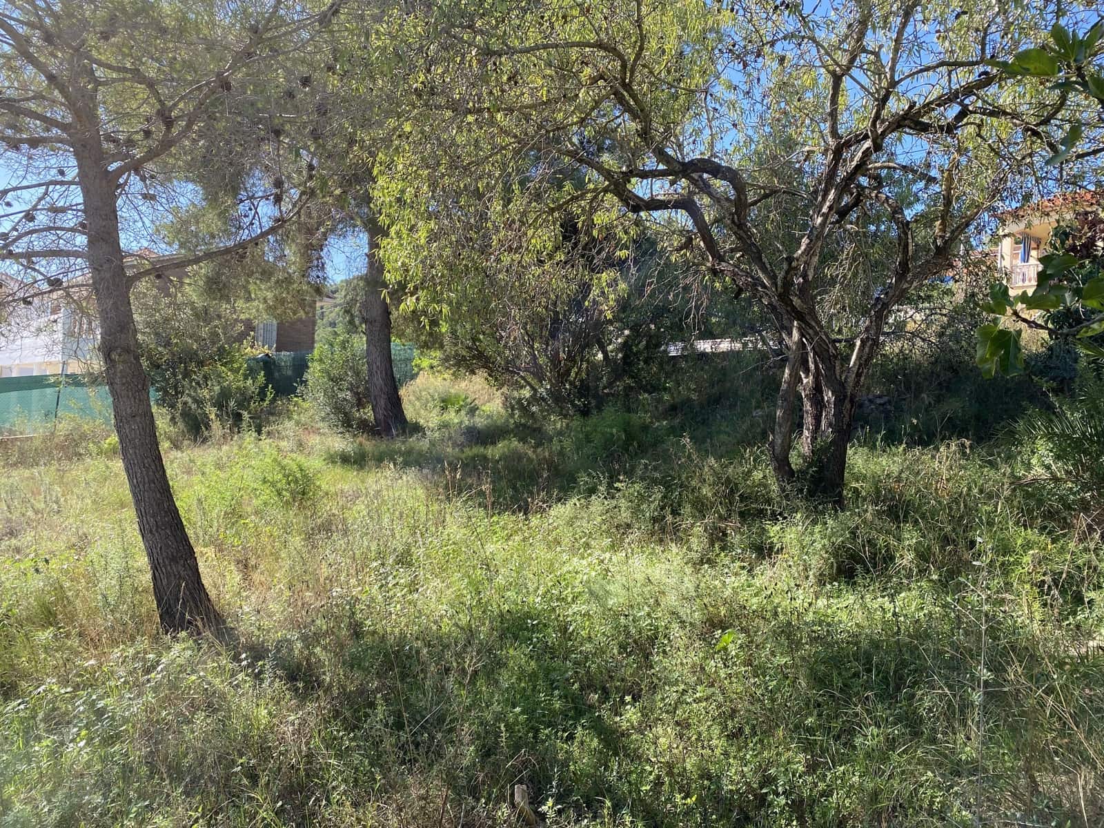Building Plot for sale in Albinyana - € 60,000 (Ref: 10106495)