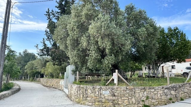 9 camera da letto Finca/Casa di Campagna in vendita in Sant Pere de Ribes con piscina - 2.100.000 € (Rif: 10111135)