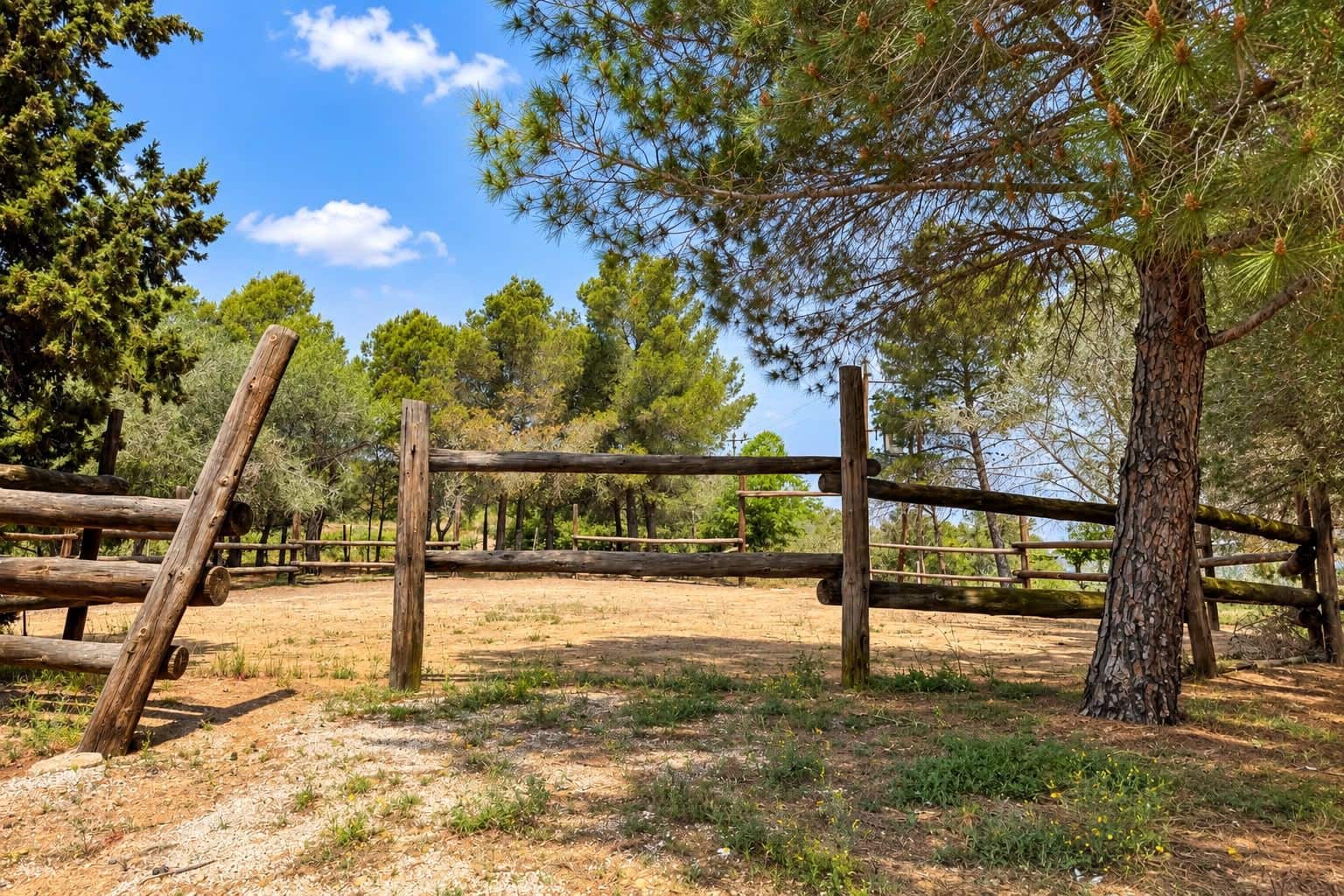 12 bedroom Finca/Country House for sale in El Molar with pool garage - € 6,600,000 (Ref: 10111253)