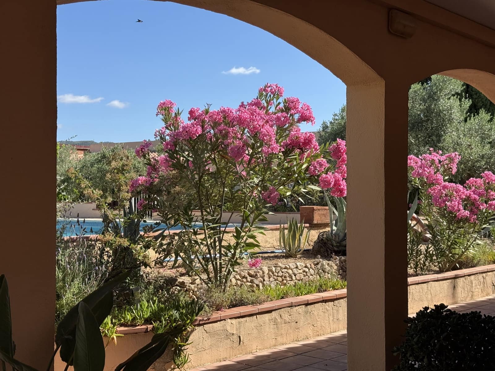 12 bedroom Finca/Country House for sale in El Molar with pool garage - € 6,600,000 (Ref: 10111253)