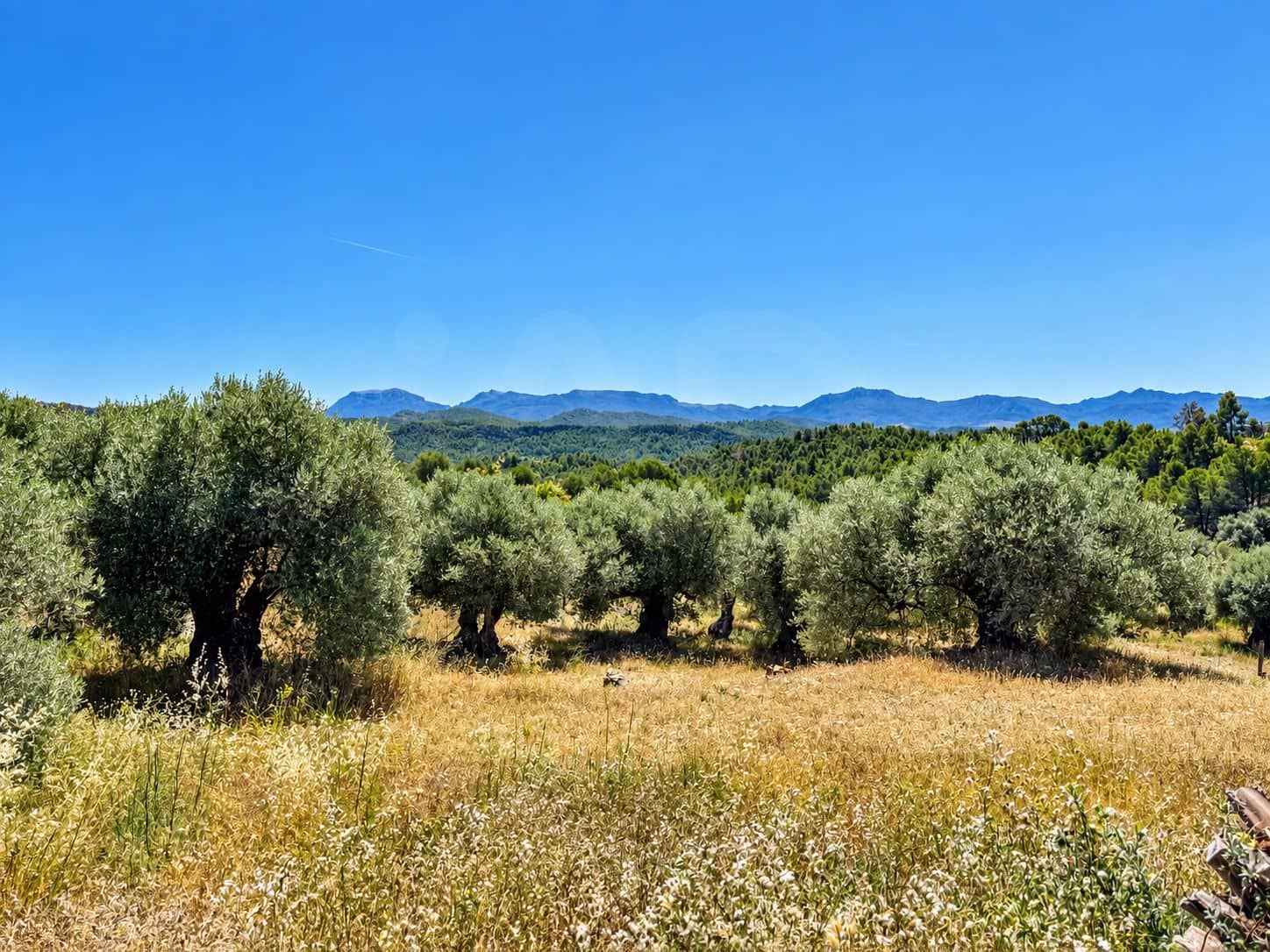 12 bedroom Finca/Country House for sale in El Molar with pool garage - € 6,600,000 (Ref: 10111253)