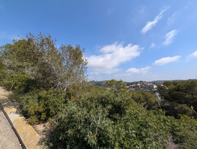 Terreno para Construção para venda em Cunit - 155 500 € (Ref: 10113309)