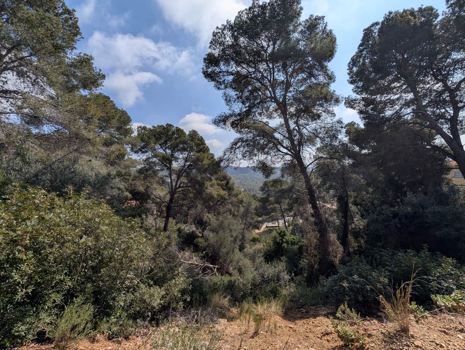 Terreno para Construção para venda em Cunit - 155 500 € (Ref: 10113309)