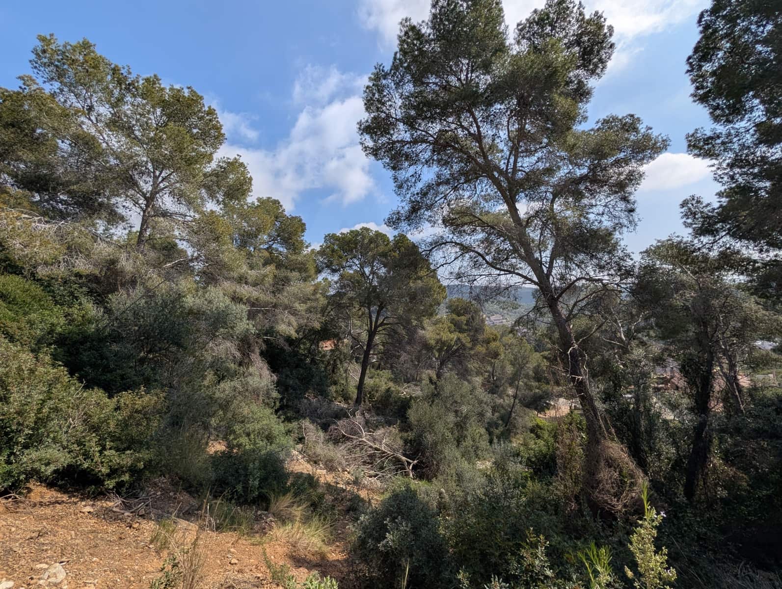 Terreno para Construção para venda em Cunit - 155 500 € (Ref: 10113309)