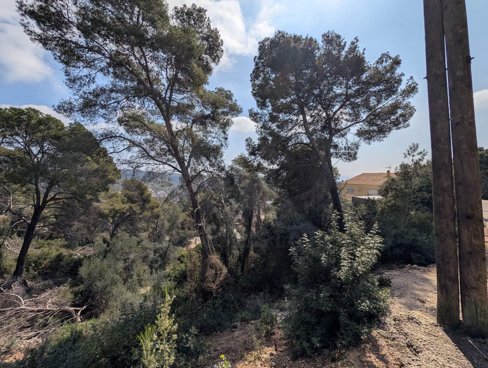 Terreno para Construção para venda em Cunit - 155 500 € (Ref: 10113309)