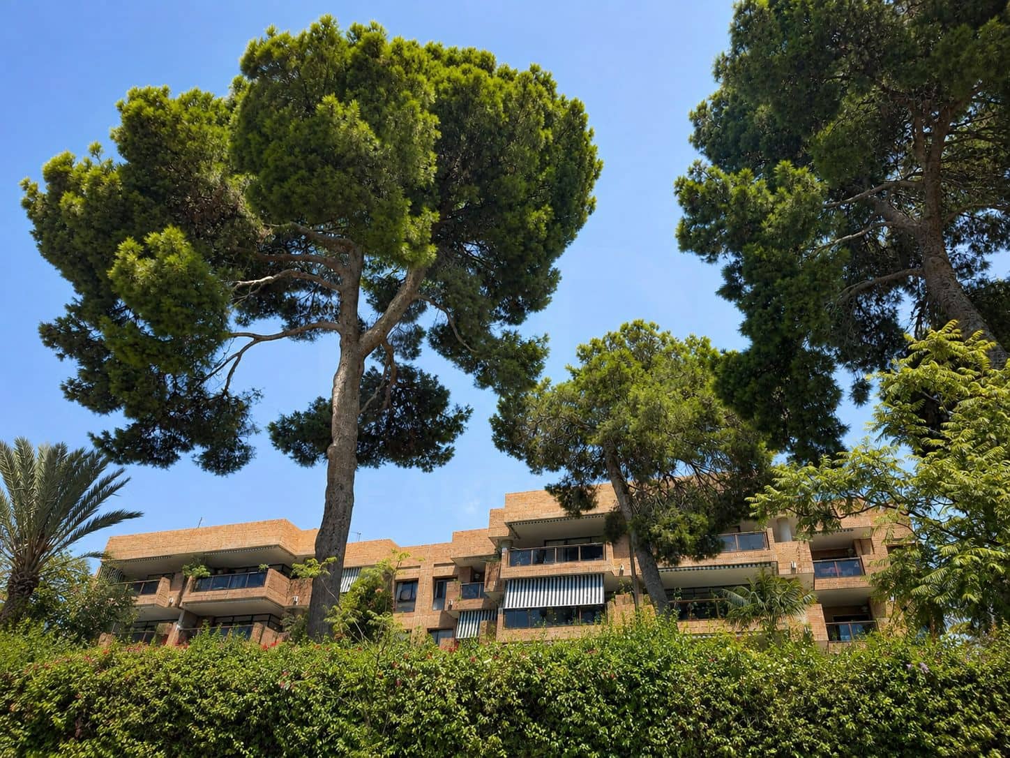 5 soveværelse Lejlighed til salg i Malaga by med swimmingpool garage - € 1.250.000 (Ref: 10114569)