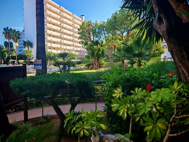 1 camera da letto Appartamento in vendita in Platja d'Alcúdia, Alcúdia con piscina - 238.000 € (Rif: 10114583)