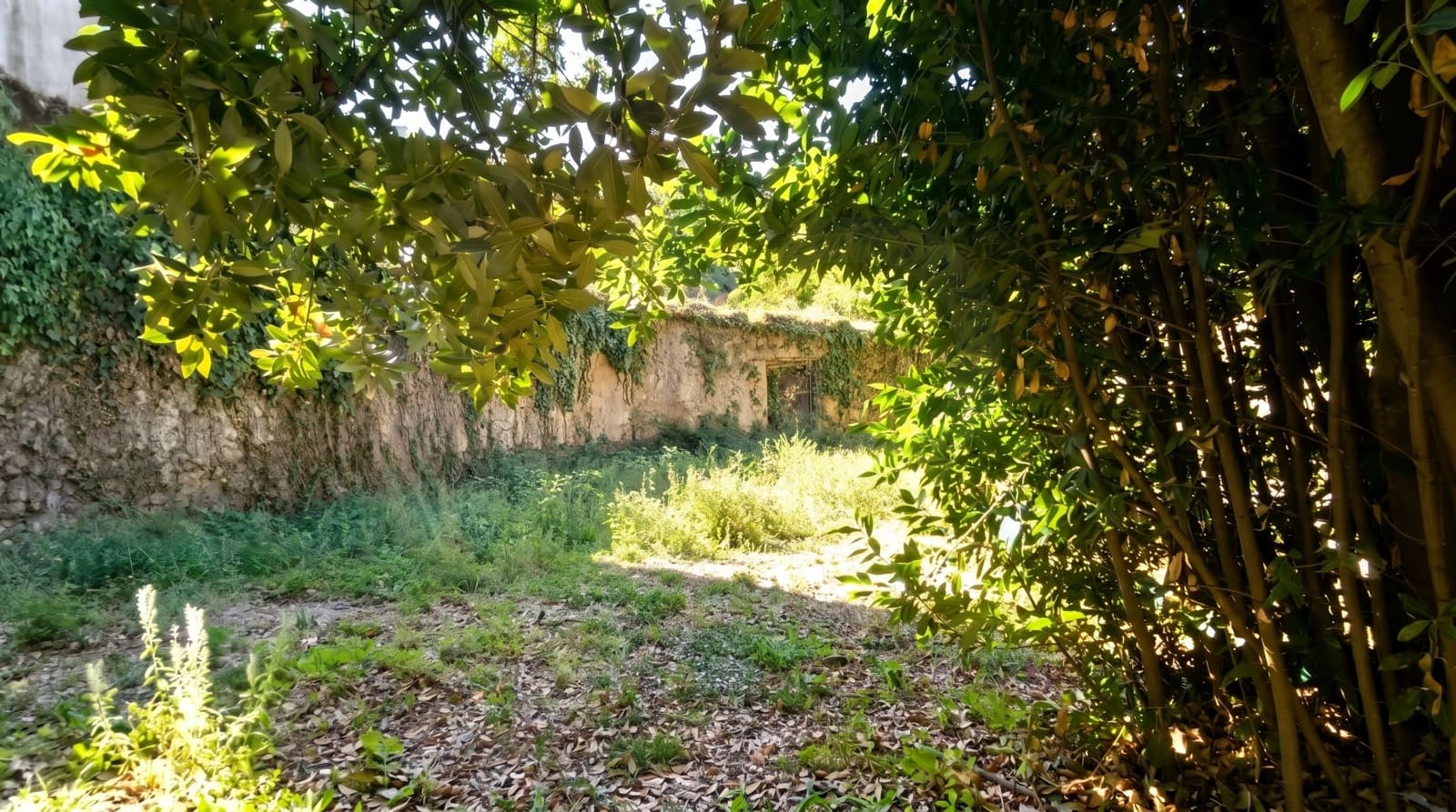 Building Plot for sale in Los Marines - € 44,900 (Ref: 10120920)