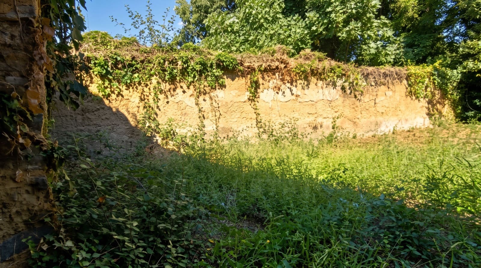 Building Plot for sale in Los Marines - € 44,900 (Ref: 10120920)