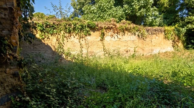 Building Plot for sale in Los Marines - € 44,900 (Ref: 10120920)