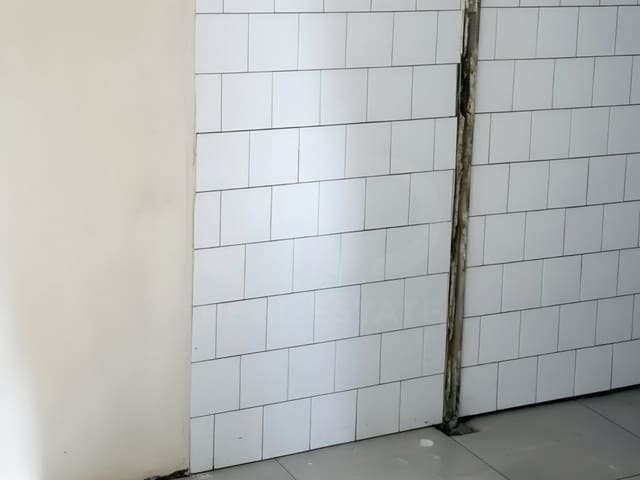 Gewerbe zu verkaufen in Alginet - 162.100 € (Ref: 10127583)