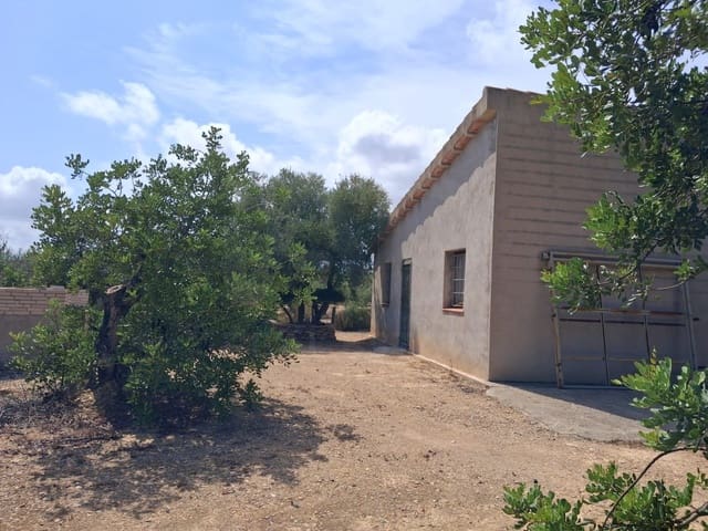 Terre non Aménagée à vendre à L'Ampolla - 85 000 € (Ref: 10127585)