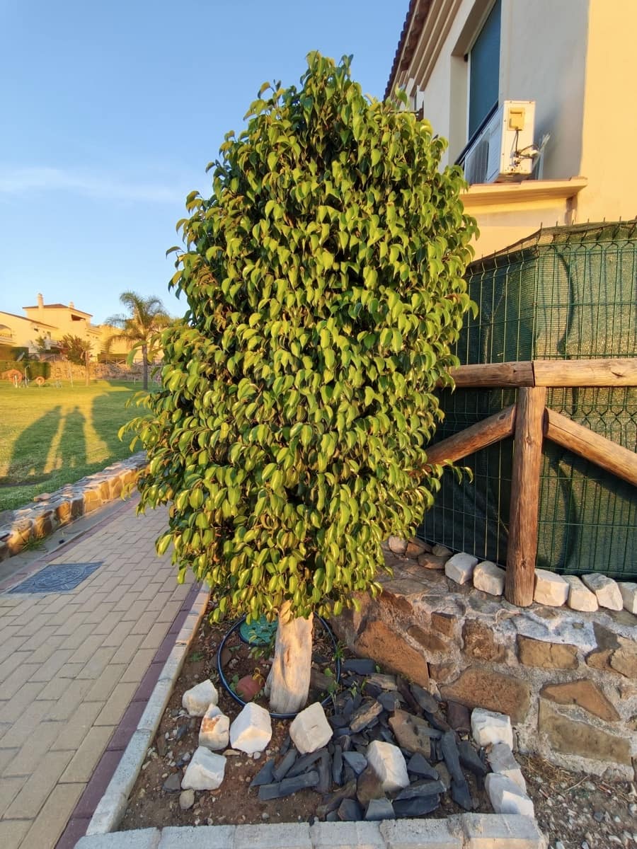 Apartamento de 3 habitaciones en Ayamonte en venta con piscina - 198.000 € (Ref: 10129340)
