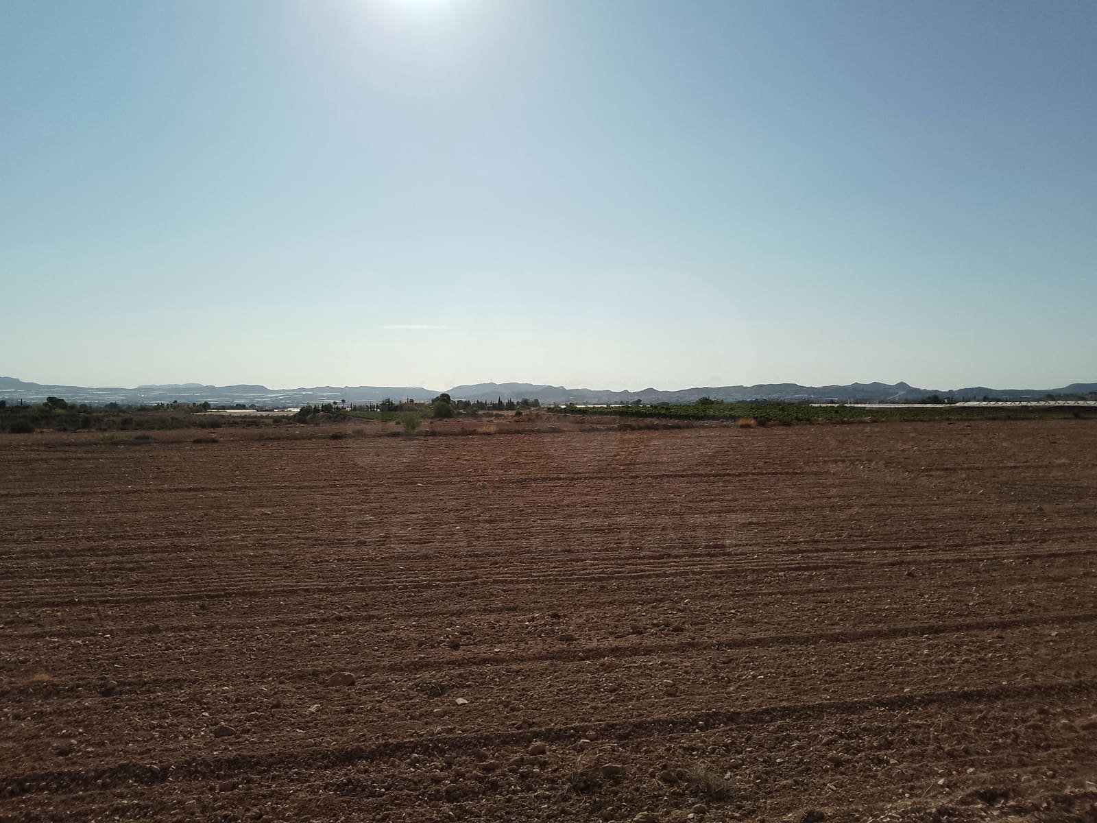 Terreno Non Edificato in vendita in Novelda - 145.000 € (Rif: 10130846)