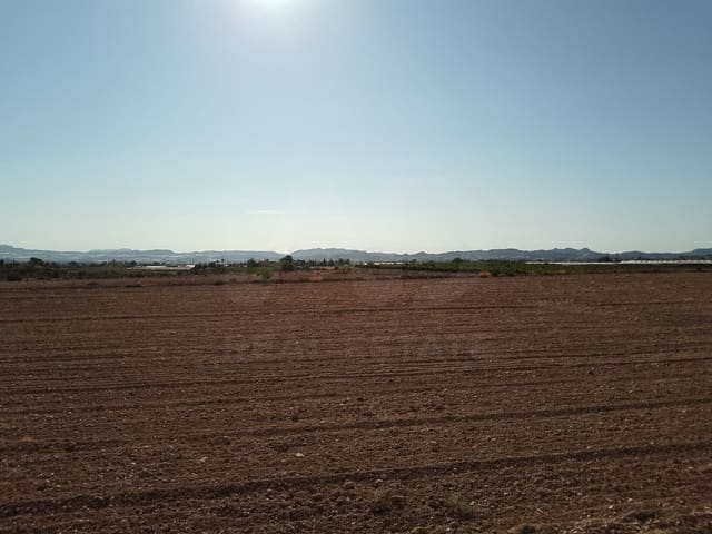 Terreno Non Edificato in vendita in Novelda - 145.000 € (Rif: 10130846)