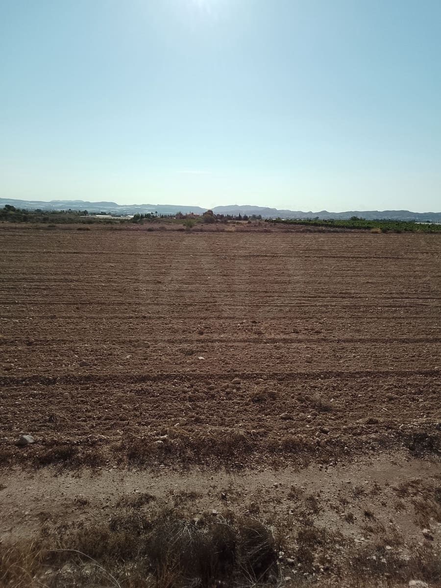 Terreno Non Edificato in vendita in Novelda - 145.000 € (Rif: 10130846)