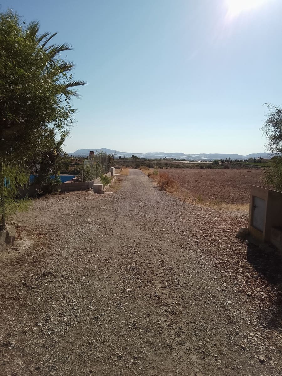 Terreno Non Edificato in vendita in Novelda - 145.000 € (Rif: 10130846)