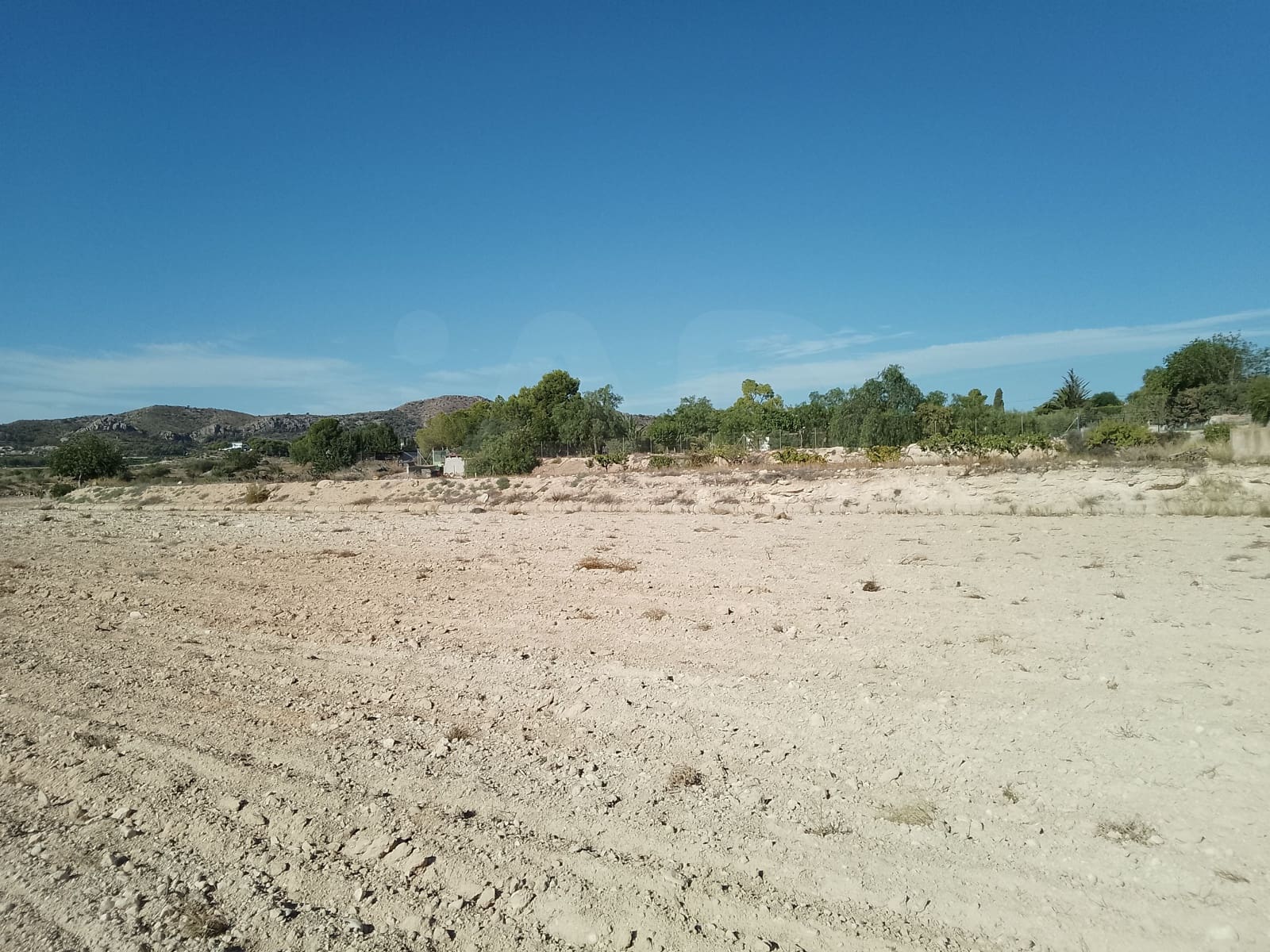 Terreno Non Edificato in vendita in Novelda - 145.000 € (Rif: 10130846)