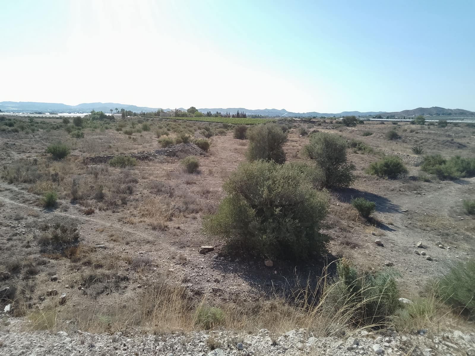 Terreno Non Edificato in vendita in Novelda - 145.000 € (Rif: 10130846)