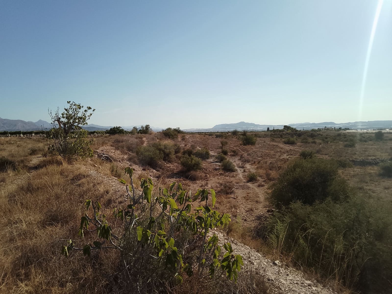Terreno Non Edificato in vendita in Novelda - 145.000 € (Rif: 10130846)