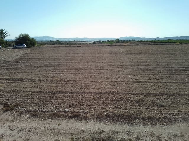 Terreno Non Edificato in vendita in Novelda - 145.000 € (Rif: 10130846)