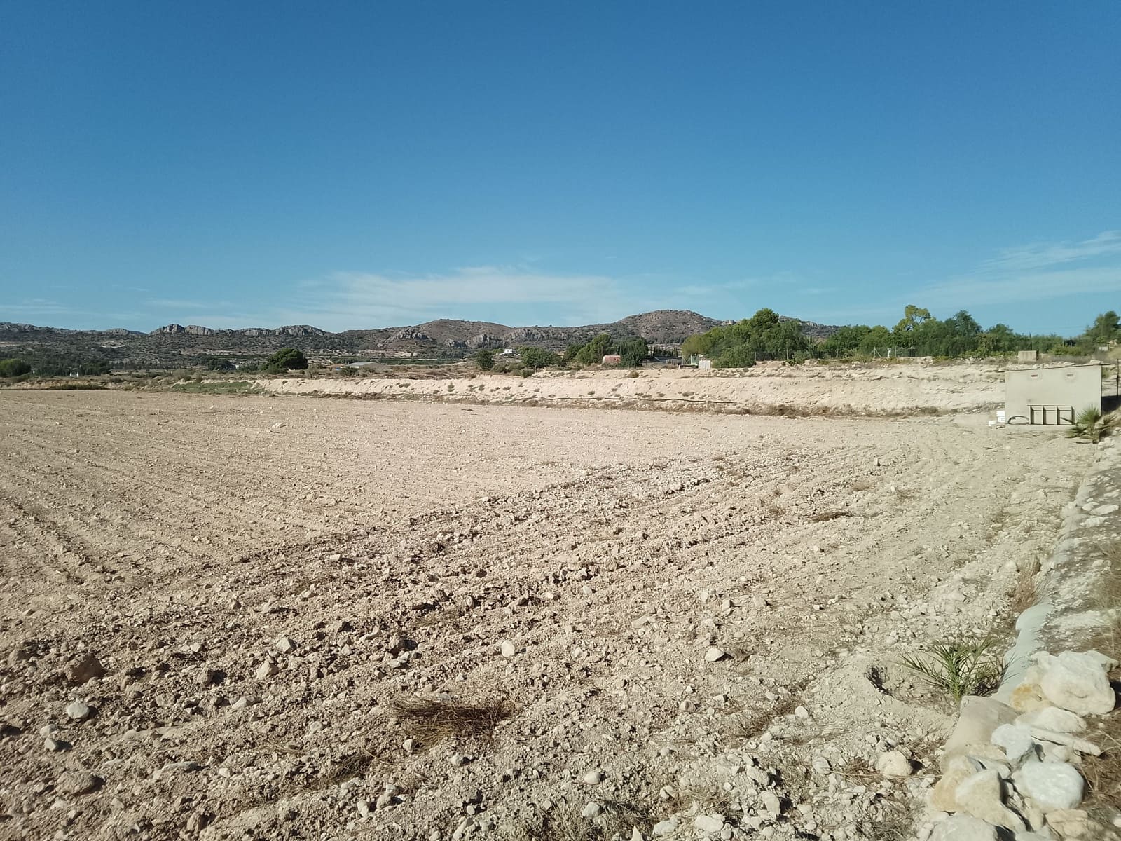 Terreno Non Edificato in vendita in Novelda - 145.000 € (Rif: 10130846)