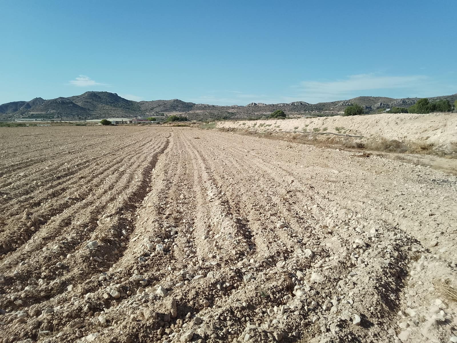 Terreno Non Edificato in vendita in Novelda - 145.000 € (Rif: 10130846)