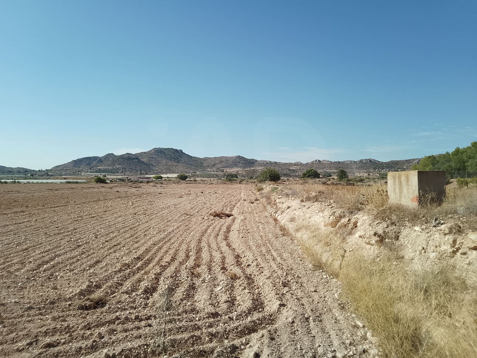 Terreno Non Edificato in vendita in Novelda - 145.000 € (Rif: 10130846)