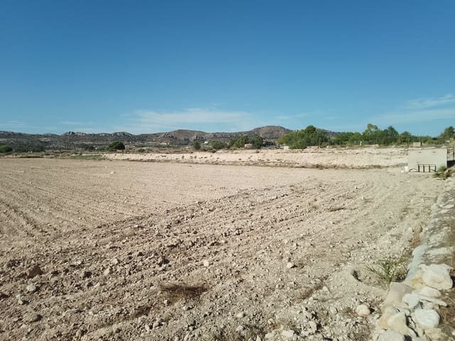 Terreno Non Edificato in vendita in Novelda - 145.000 € (Rif: 10130846)